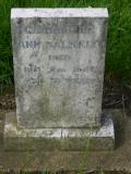 image of grave number 237811